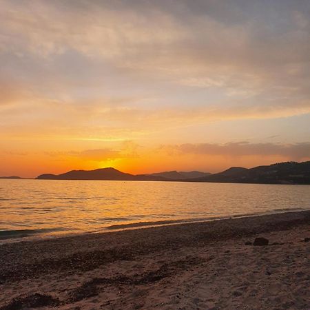 Appartement T2 - Hyeres Gare Dış mekan fotoğraf
