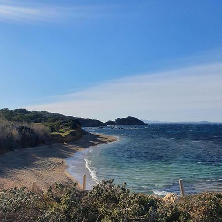 Appartement T2 - Hyeres Gare Dış mekan fotoğraf
