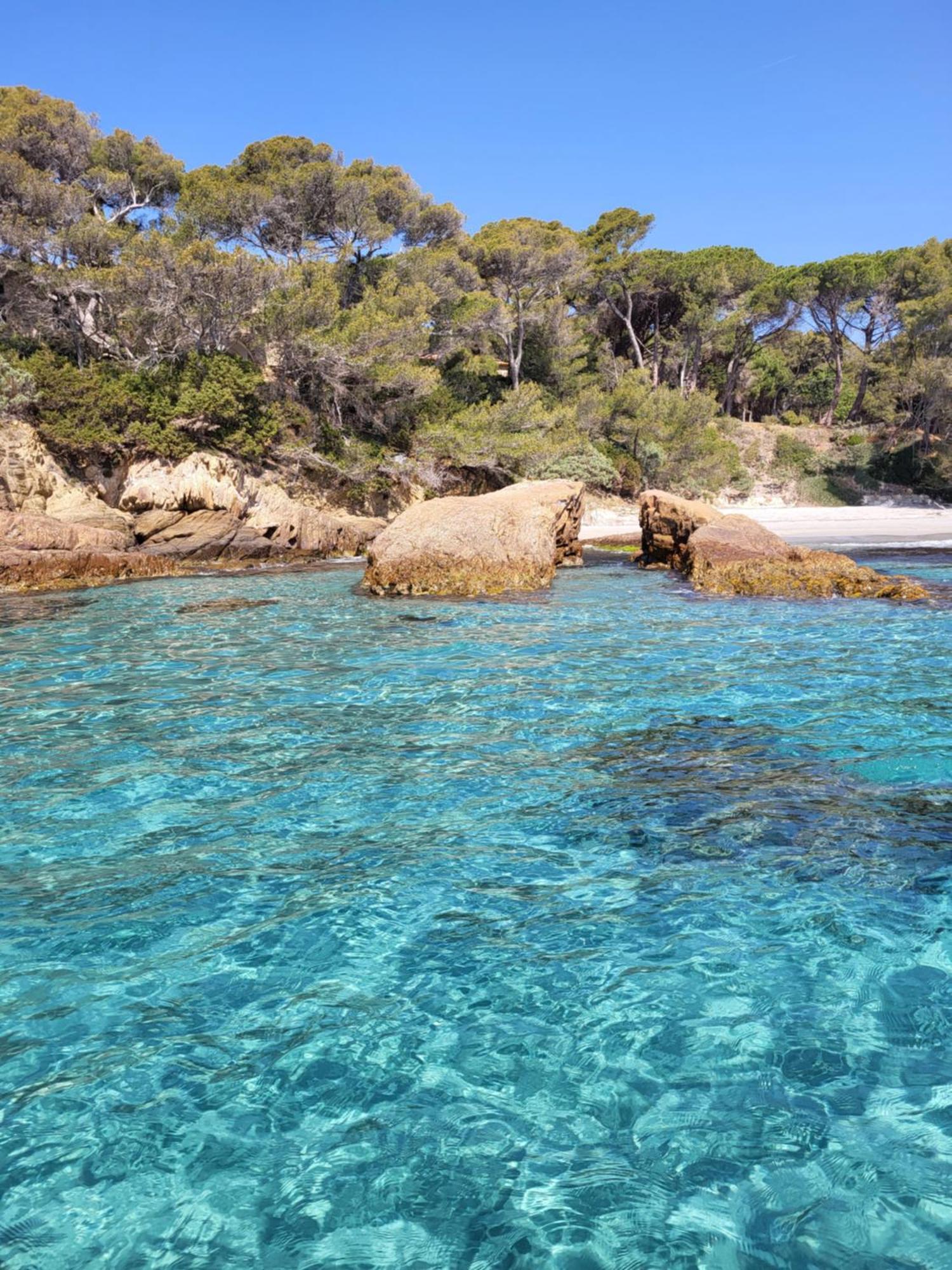 Appartement T2 - Hyeres Gare Dış mekan fotoğraf